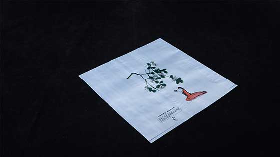 生物降解袋和普通塑料袋焚燒有什么區(qū)別？